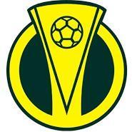 CAMPEONATO BRASILEIRO C 2024