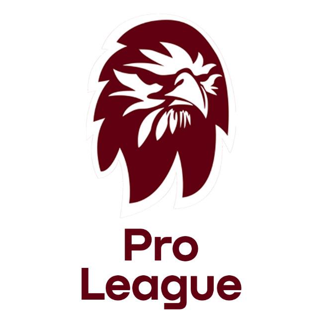 Pro League - LTEI S33