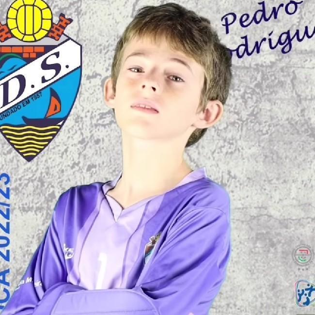 Pedro Rodrigues
