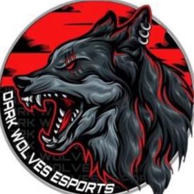 Dark Wolves eSports