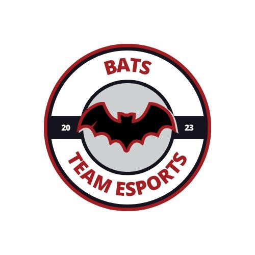 BatsTeam