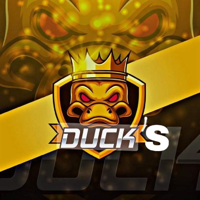 THE DUCKS