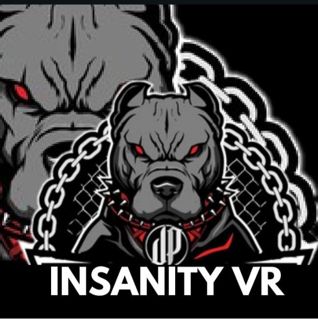 INSANITY VR