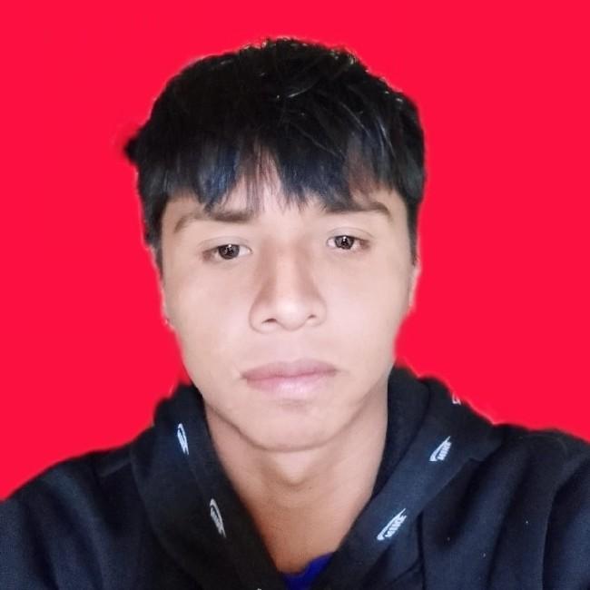 Hengler Flores Vaca