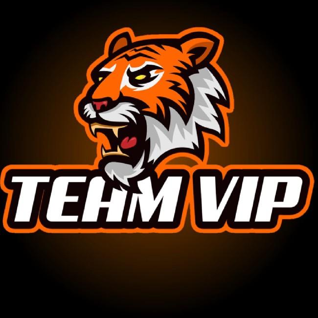 TEAM VIP