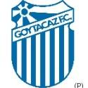 Goytacaz