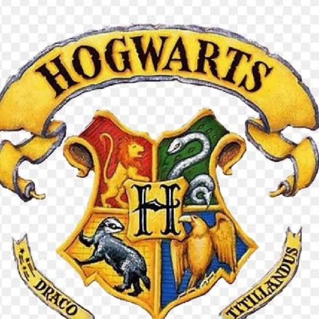 Team Hogwarts