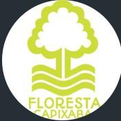 Floresta capixaba