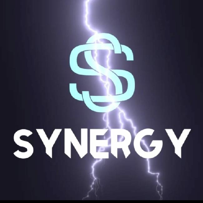 Synergy[Chile]