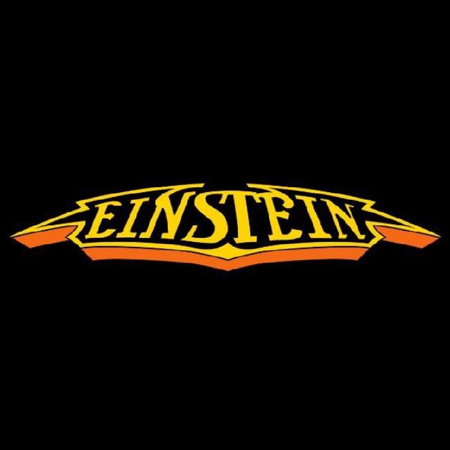TEAM EINSTEIN