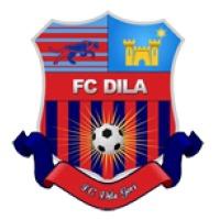 Dila Gori