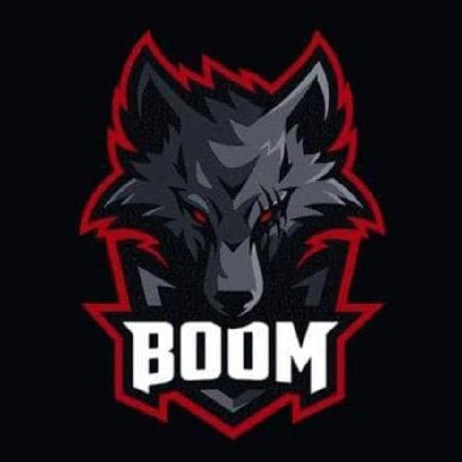 Fox Boom