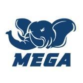 MEGA E-SPORTS