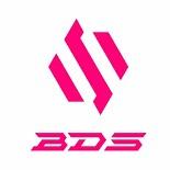 TEAM BDS