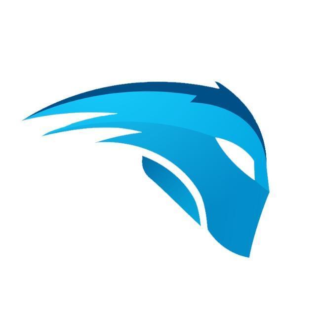 Movistar Riders