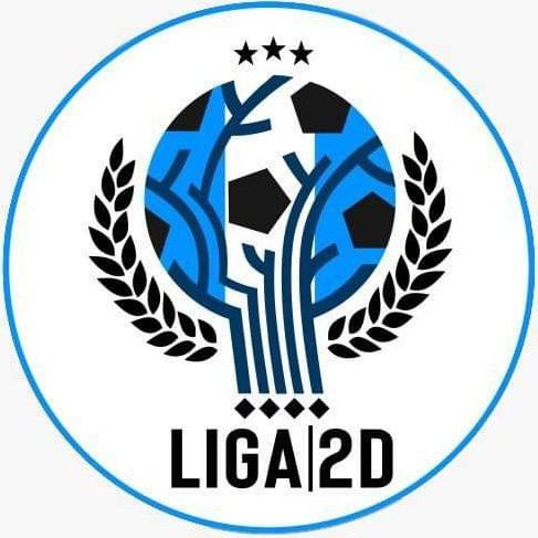 LIGA 2D Apertura 2024
