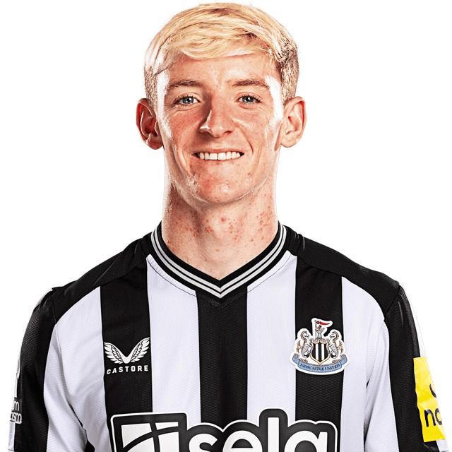 Gordon