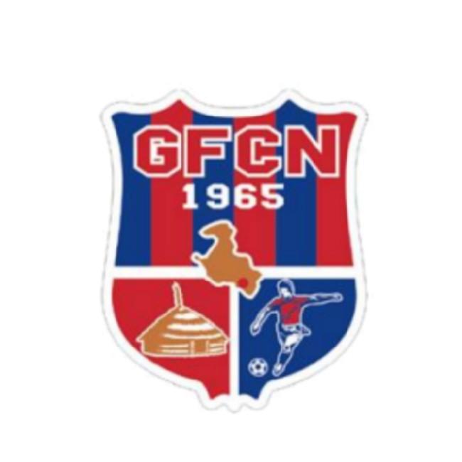 Gaitcha FCN