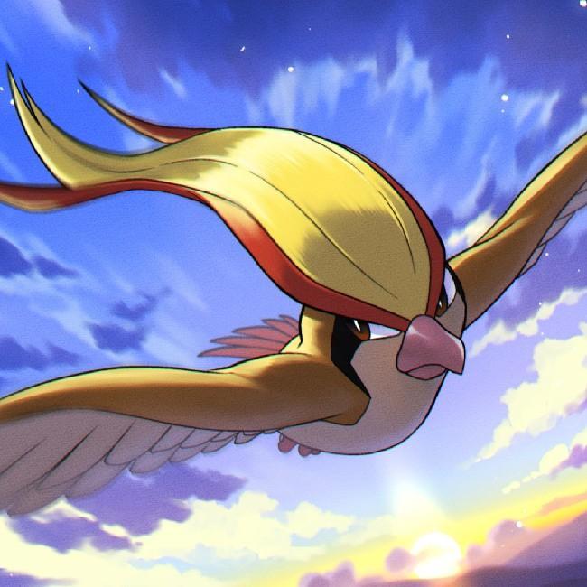 Pidgeot