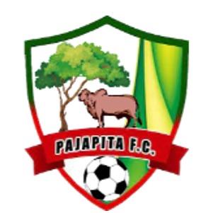 Pajapita