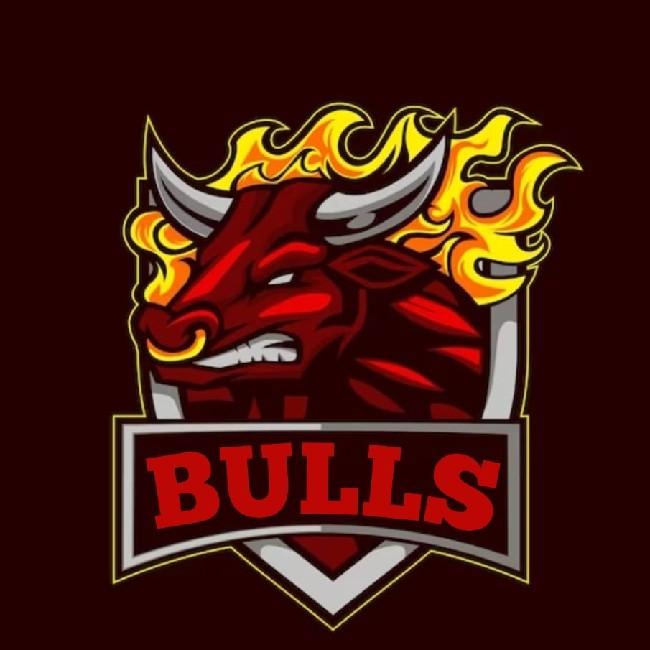 Bulls