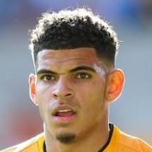 Amf Gibbs White