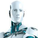 The Bot