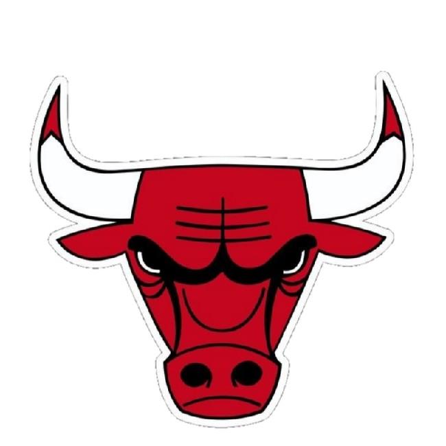 Chicago Bulls