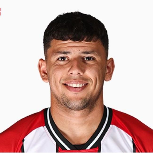 Gustavo Hamer