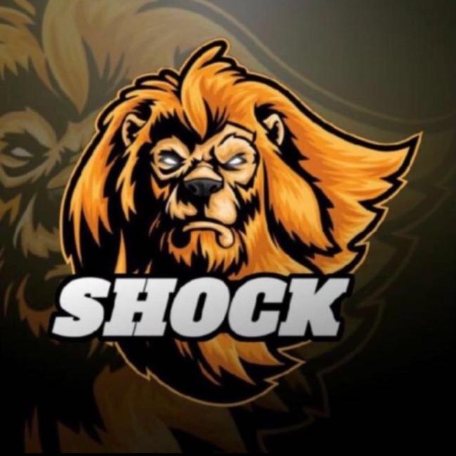 SCHOK/ SCHOK