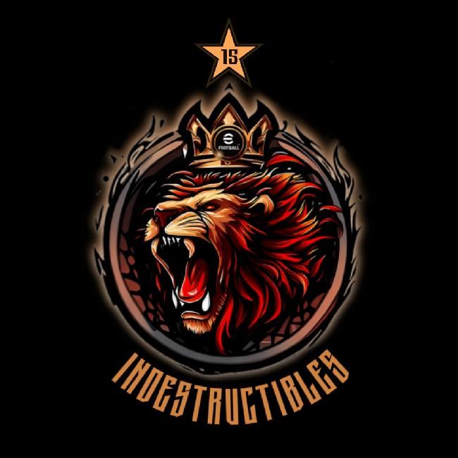 INDESTRUCTIBLE