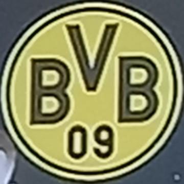 Borussia dortmund