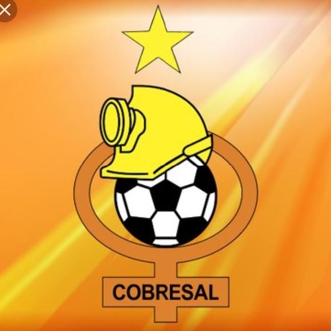 CD COBRESAL