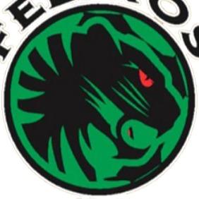 Felinos 48