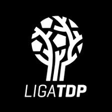 Liga TDP