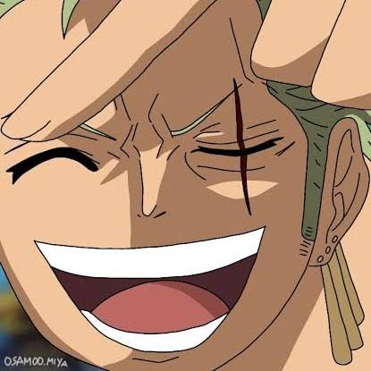 Zoro (174484003)