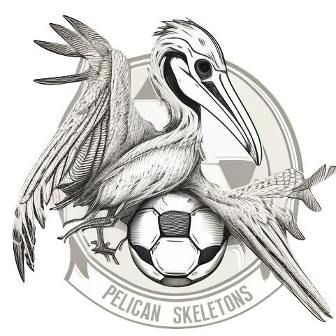 Pelican Skeletons