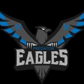Predator Eagles