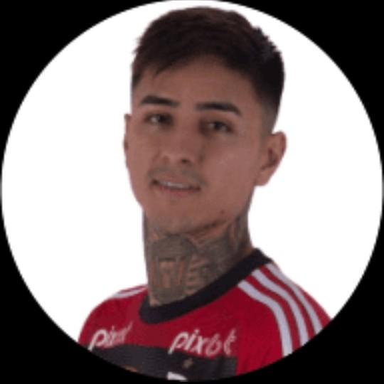 Erick Pulgar