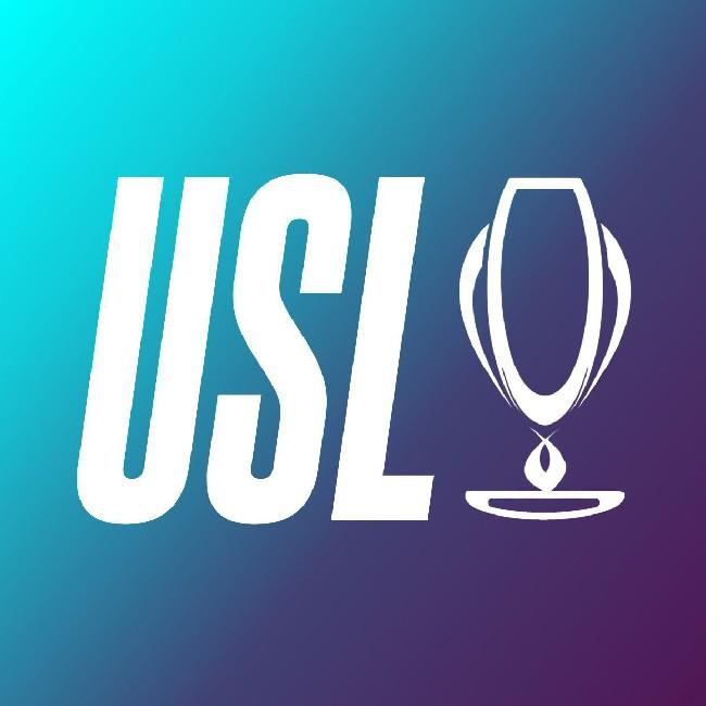 The United Soccer League
