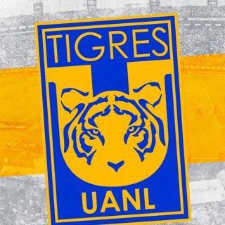 Tigres