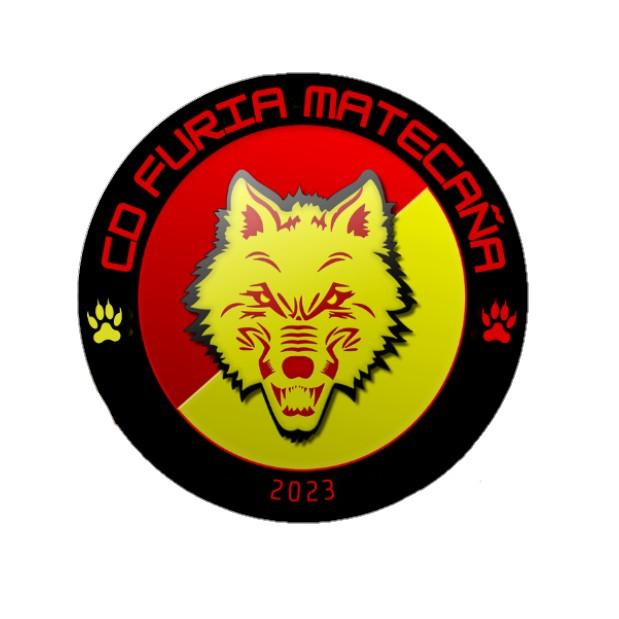 CD furia matecaña
