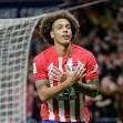 Axel Witsel