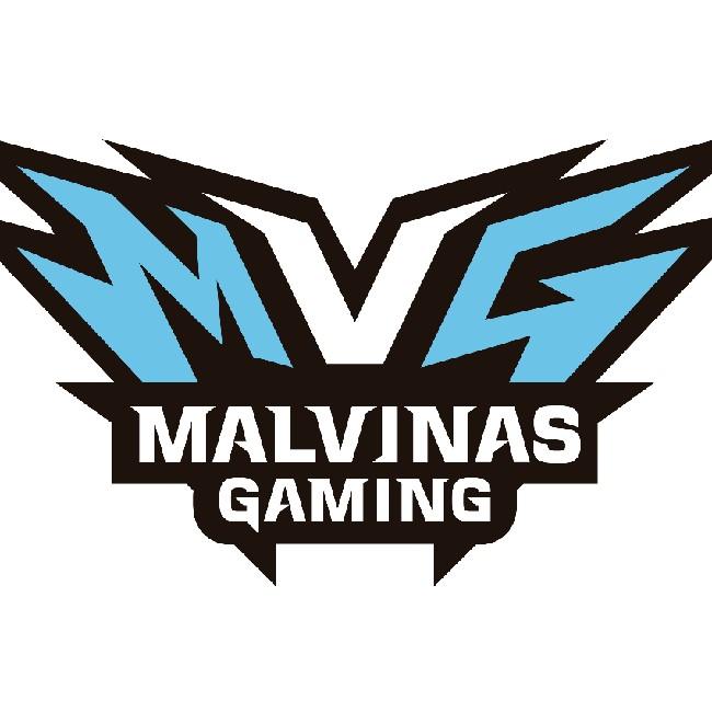 MALVINAS GAMING