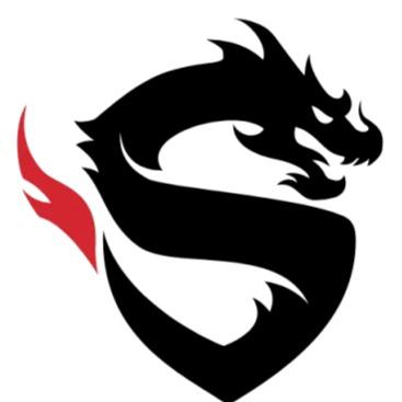 Shanghai Dragons