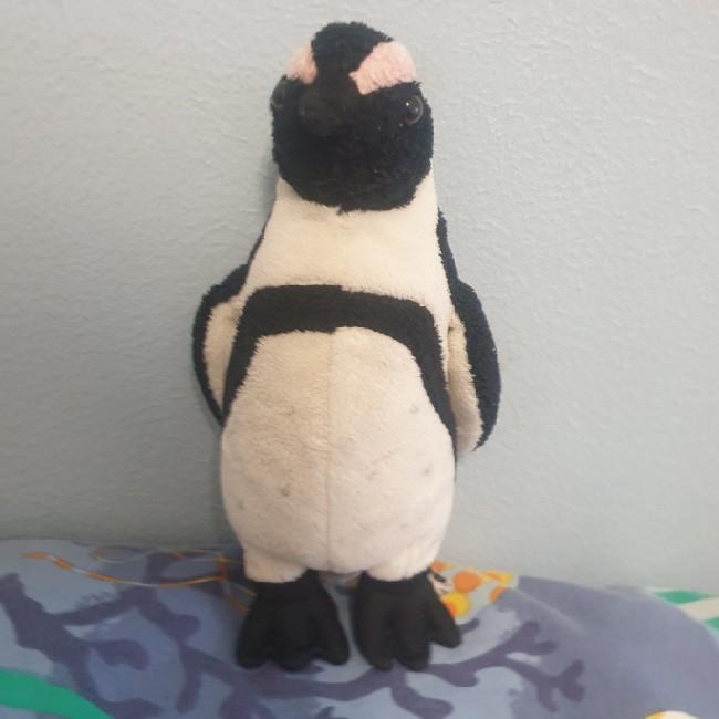 Penguin Rode