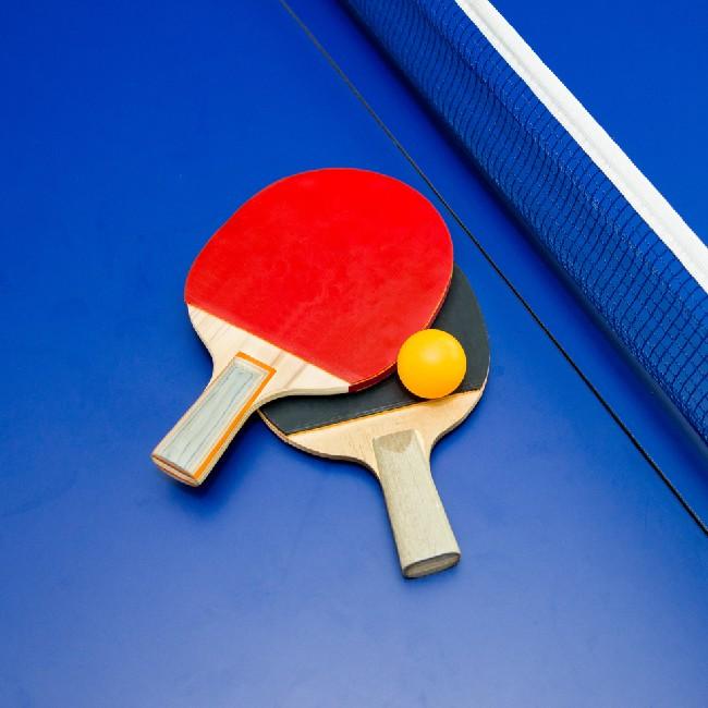 Table Tennis Ultimate