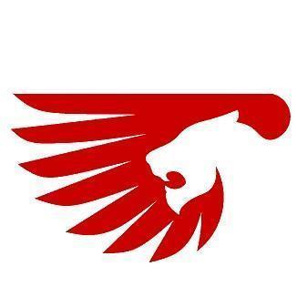 Flying Lion Gaming