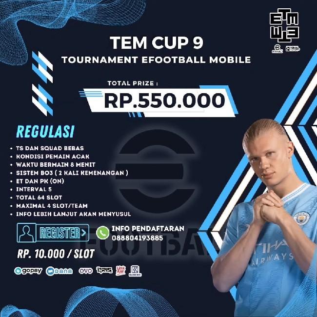 TEM CUP 9