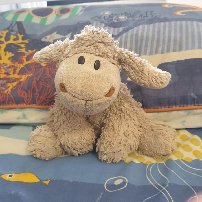 Sheepy Rode